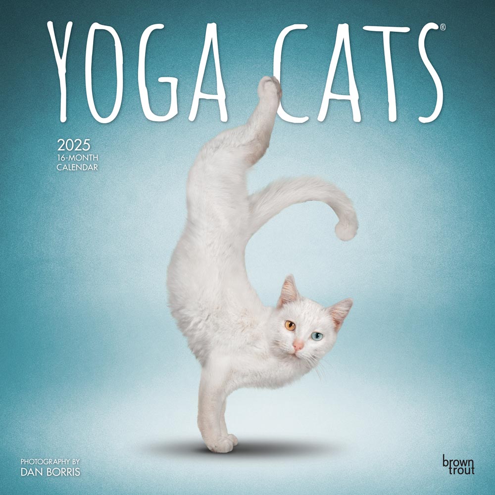 Yoga Cats OFFICIAL | 2025 12 x 24 Inch Monthly Square Wall