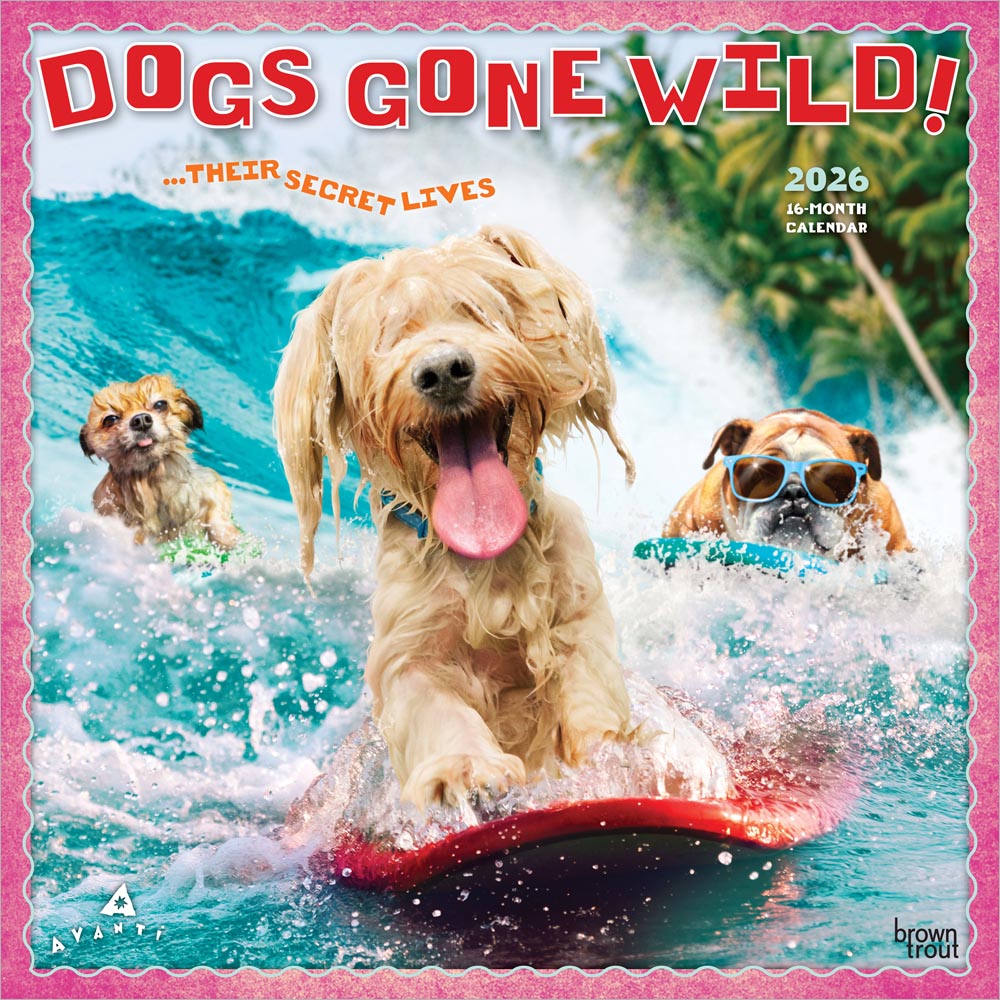 Golden Retriever Slim 2026 Calendar | Slimline Wall Calendar | Dog Breed Gift | Plastic Free Packaging | By Avonside Publishing : Avonside Publishing Ltd - View #11