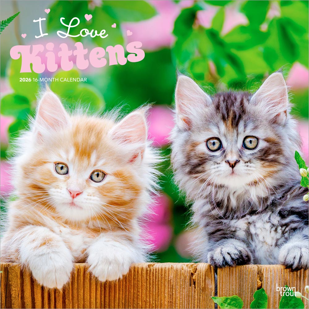 I Love Kittens | 2026 12 x 24 Inch (Hanging) Monthly Square Wall