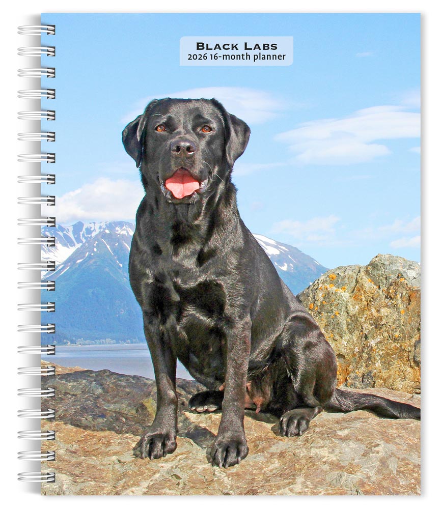 Golden Retrievers | 2026 6 X 7.75 Inch Spiral-Bound Wire-O Weekly - View #3