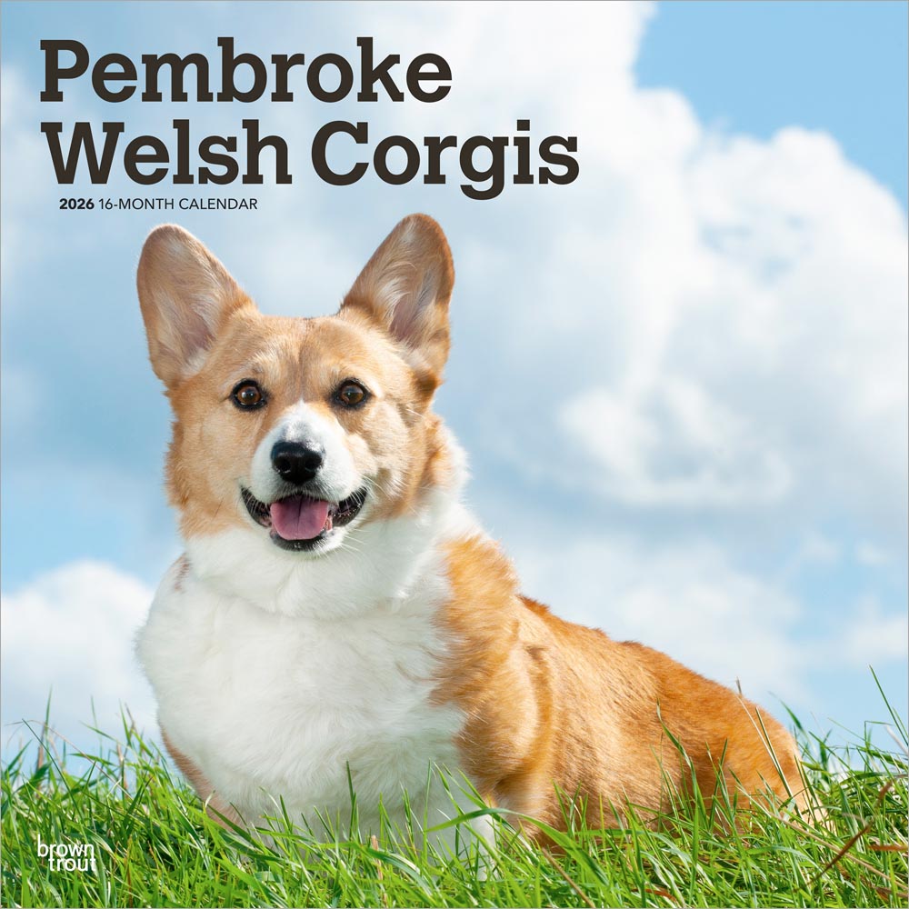Welsh Corgis | 2025 12 X 24 Inch Monthly Square Wall Calendar