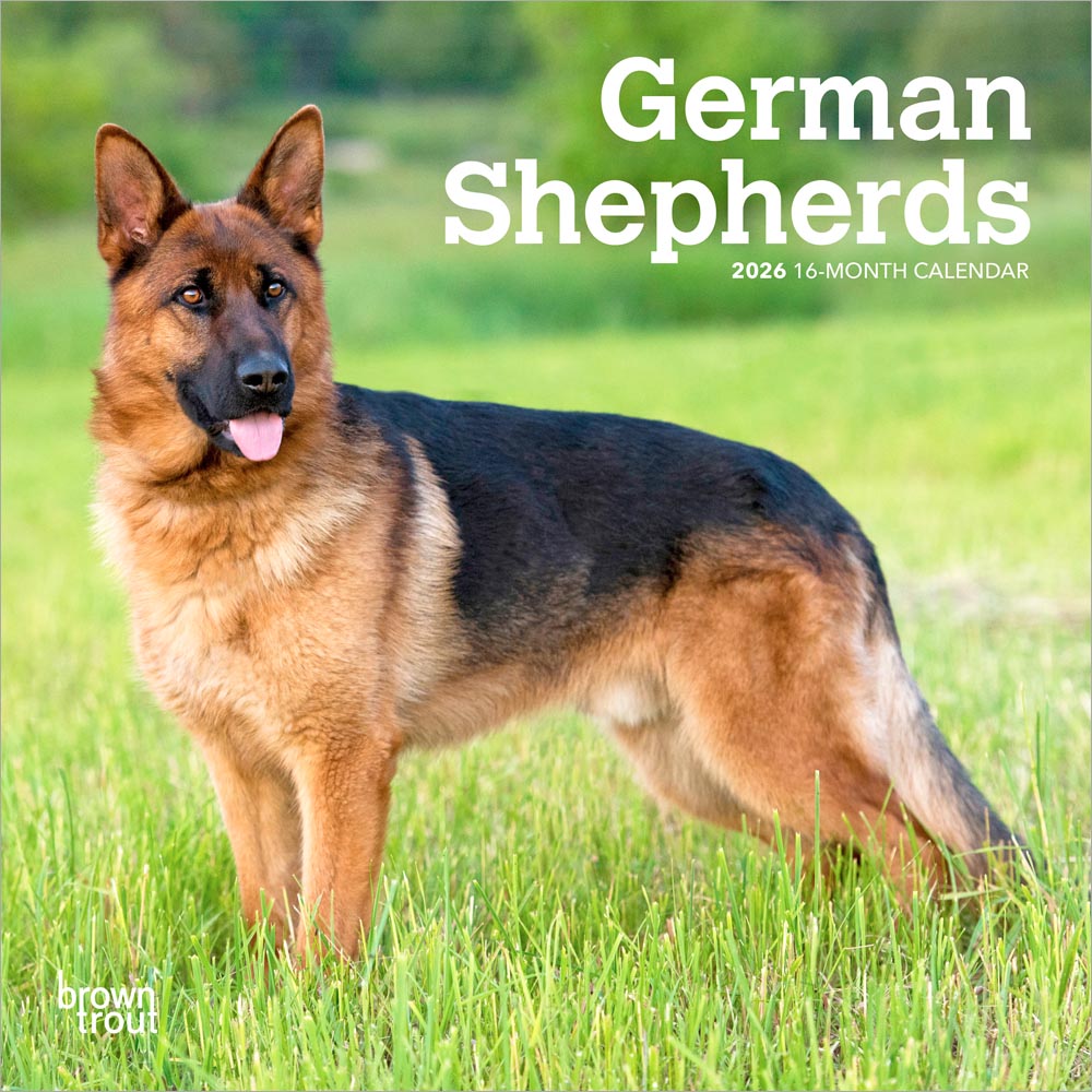 □Germanshepherd□１９７４〜◇１６×２０◇ Copen◇ 1/16 German Shepherd Dog