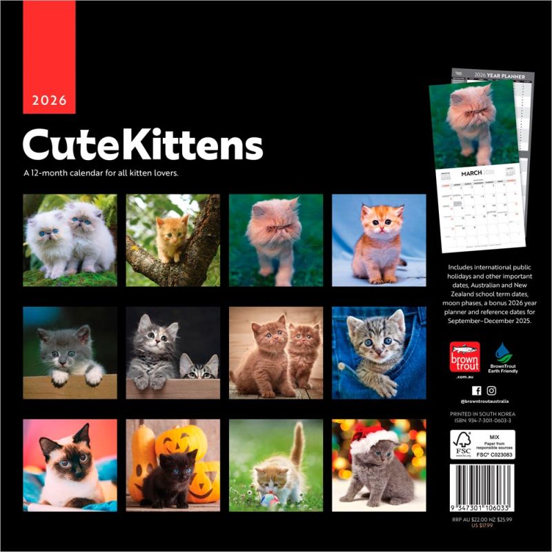 Nuthin' But Trouble | 2023 12 X 24 Inch Monthly Square Wall Calendar | Graphique De France | Pet Humor Kitten Feline