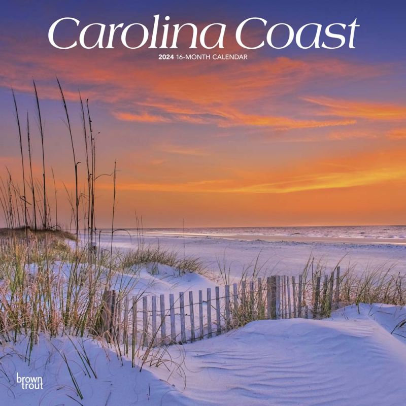 Carolina Coast 2025 12 x 24 Inch Monthly Square Wall Calendar
