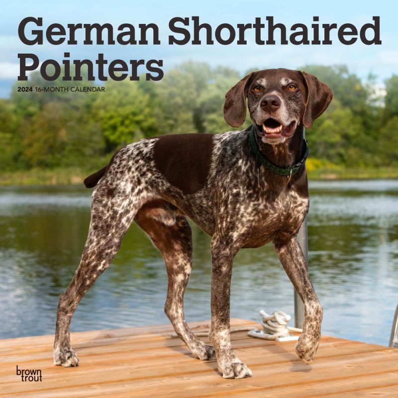 German Shorthaired Pointers 2024 12 x 24 Inch Monthly Square Wall