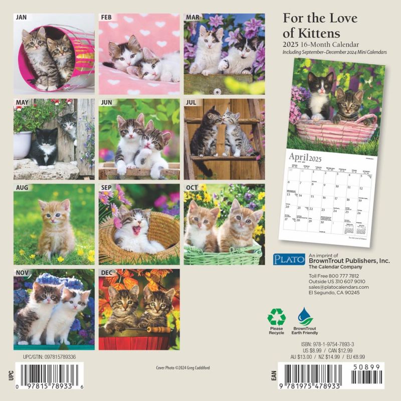 For the Love of Kittens | 2025 7 x 14 Inch Monthly Mini Wall For the Love of Kittens | 2025 7 x 14 Inch Monthly Mini Wall