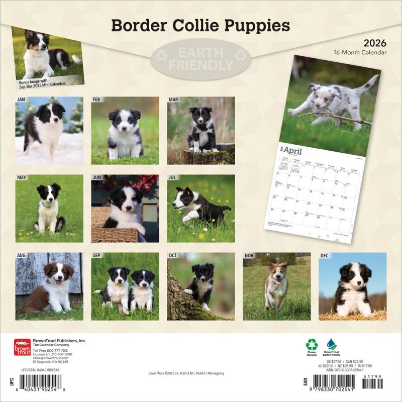 Calendrier De L'Avent 2025 Border Collie - 24 Figurines De Chiots Suspendues En Acrylique - Décoration Murale Festive Pour Noël