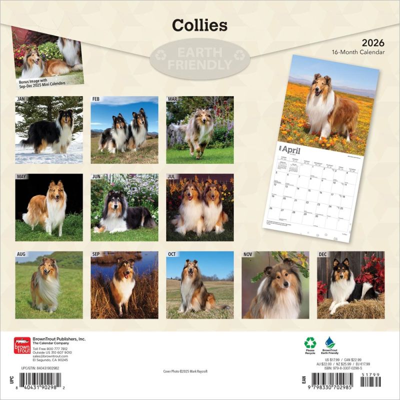 Border Collie Calendar - 2017 Wall Calendars - Calendar 2016