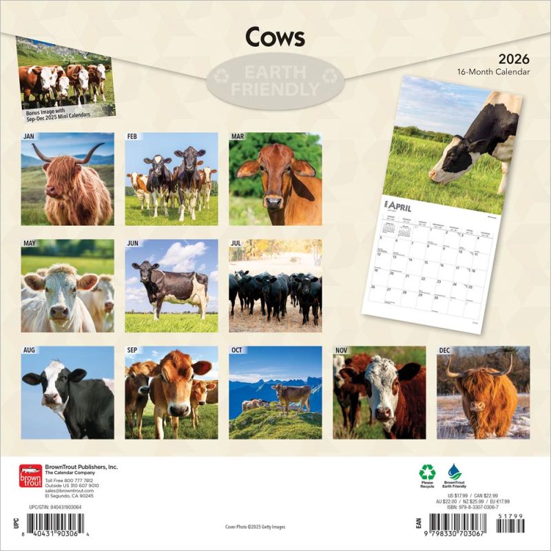 Paris Calendar 2026 | Avonside Publishing | Plastic Free Packaging - View #8