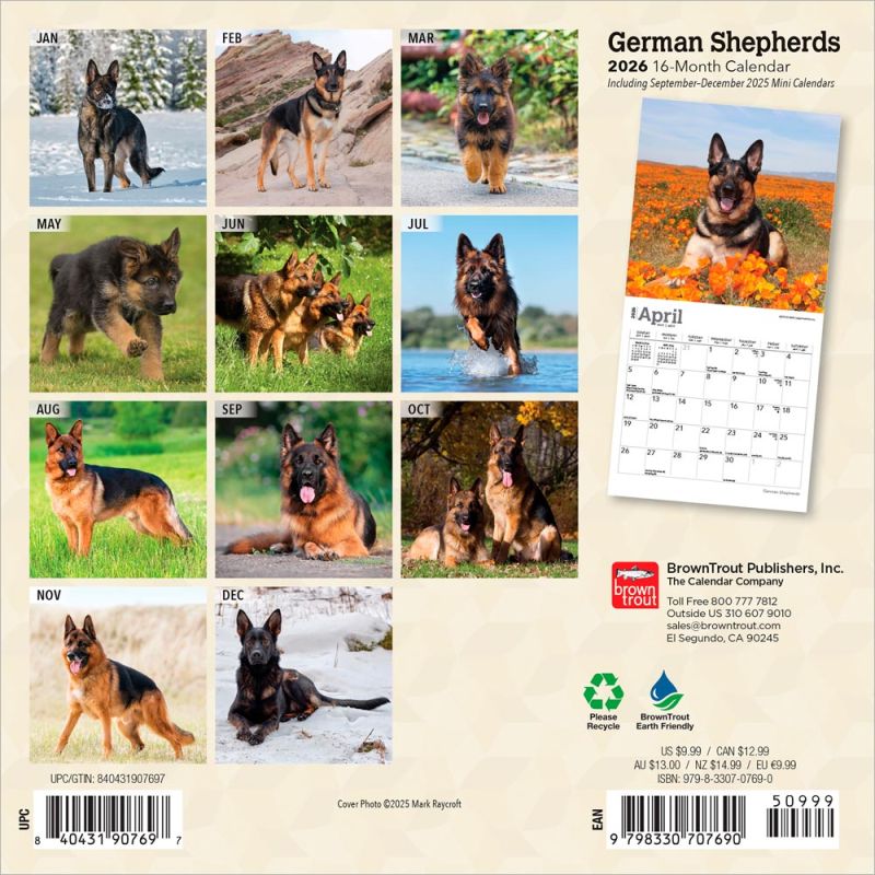 German Shepherds | 2026 7 x 14 Inch (Hanging) Monthly Mini
