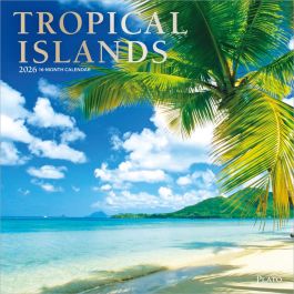 トロピカルアイランド Tropical  未開封 限定フォルダー 9798330706778.