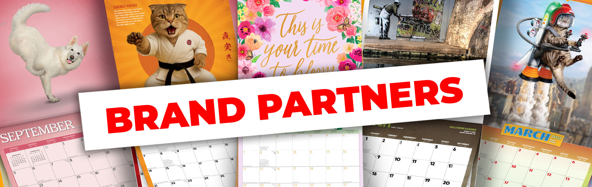 2027 Trending License