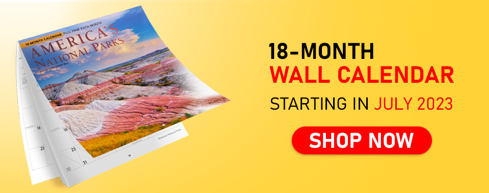18-Months Square Wall Calendars from July 2023 to December 2024